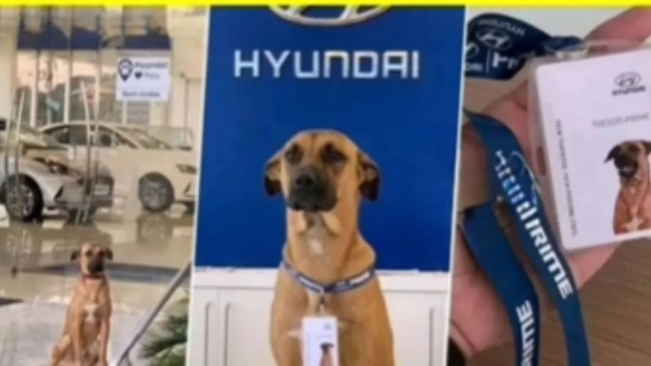 viral dog news