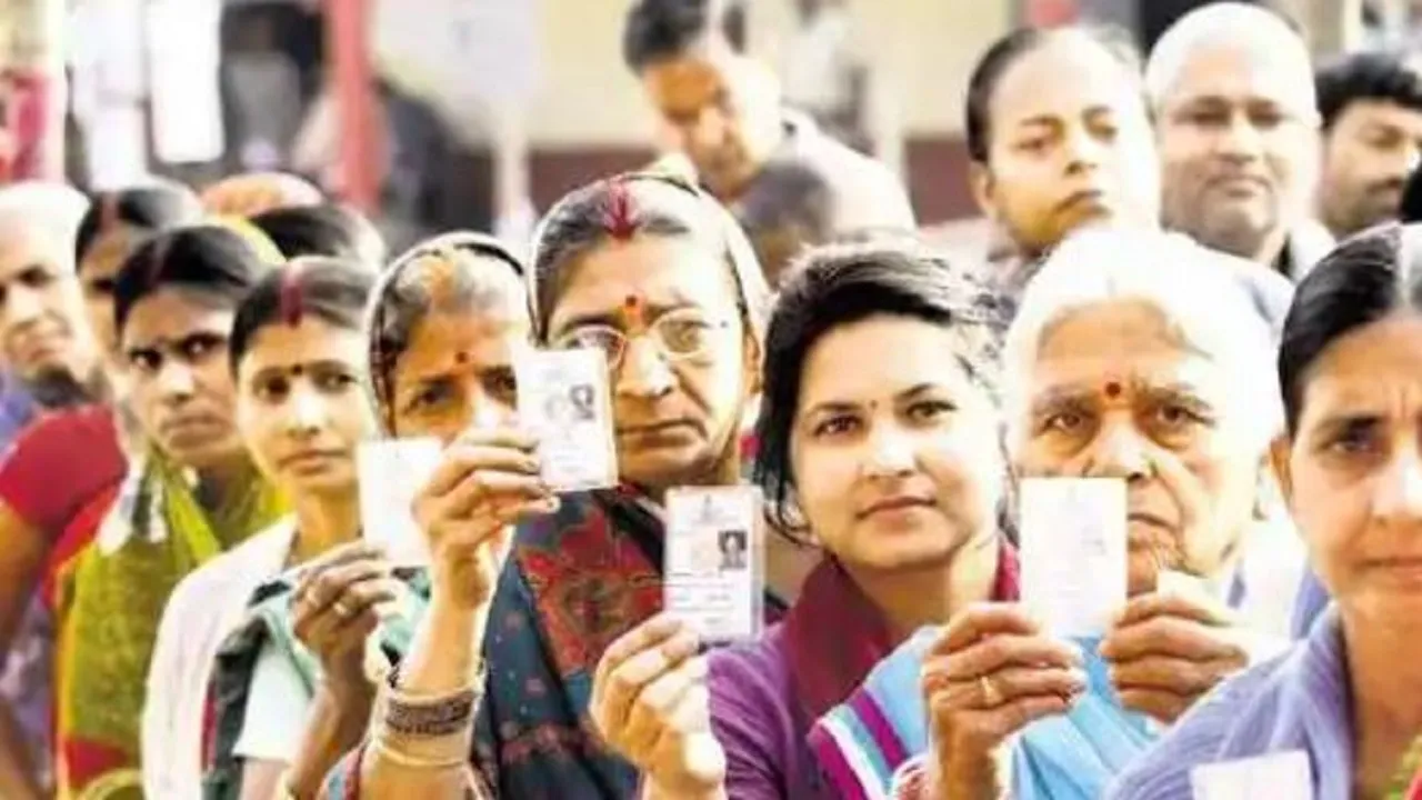 voting3