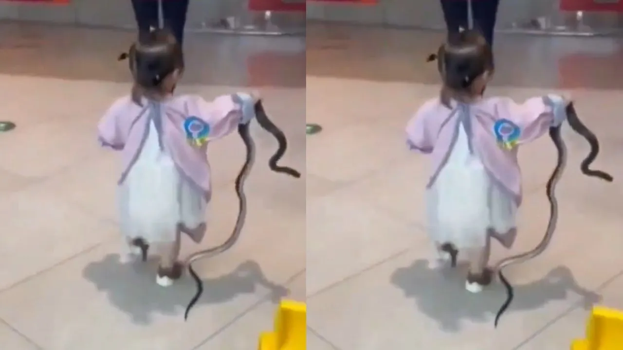 viral snake video