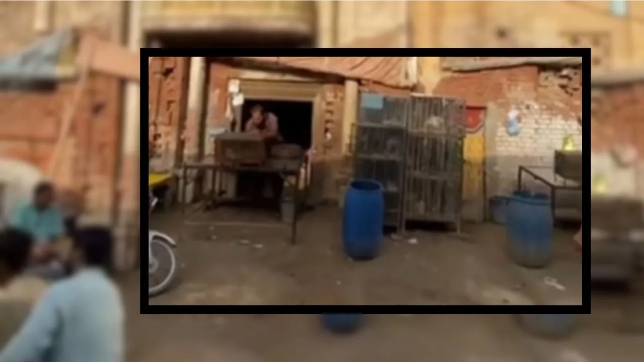 pakistan temple viral video