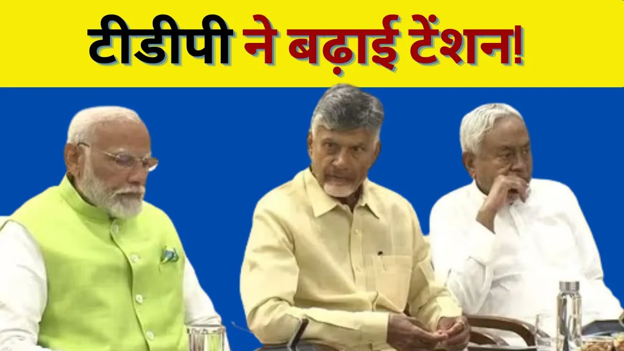 What is TDP Demand Before NDA Govt Form