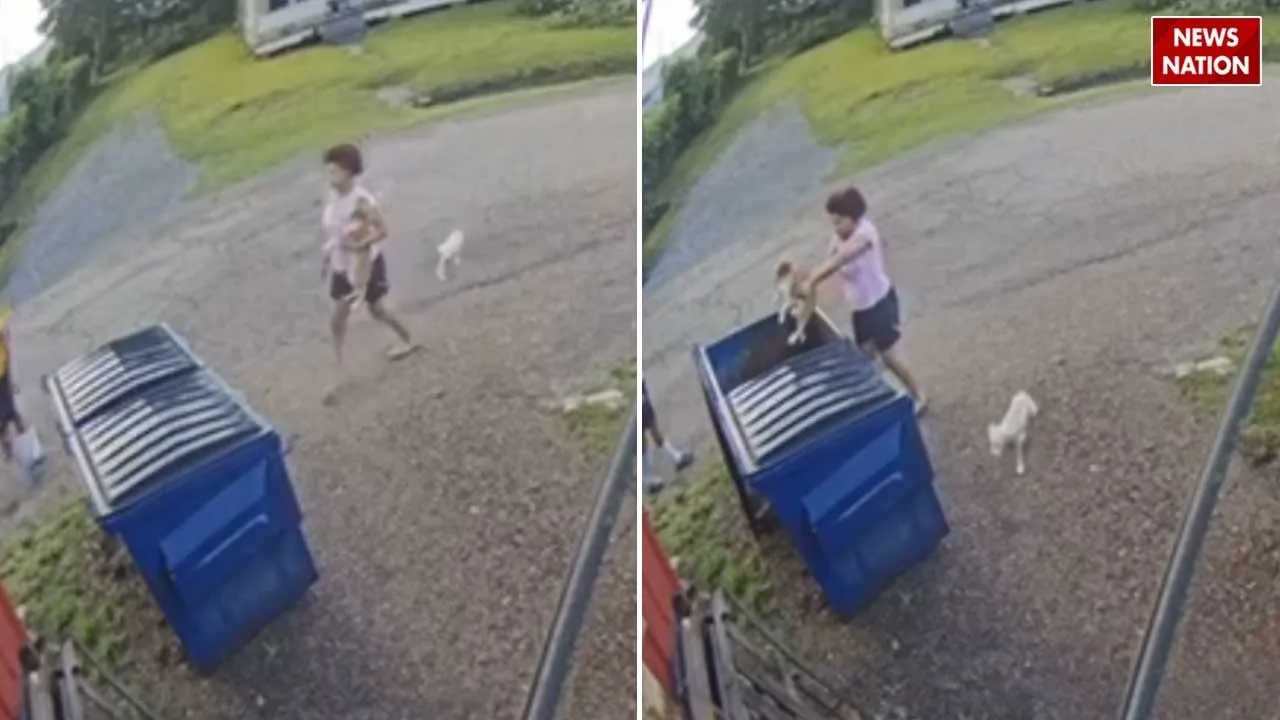 Woman Viral Video