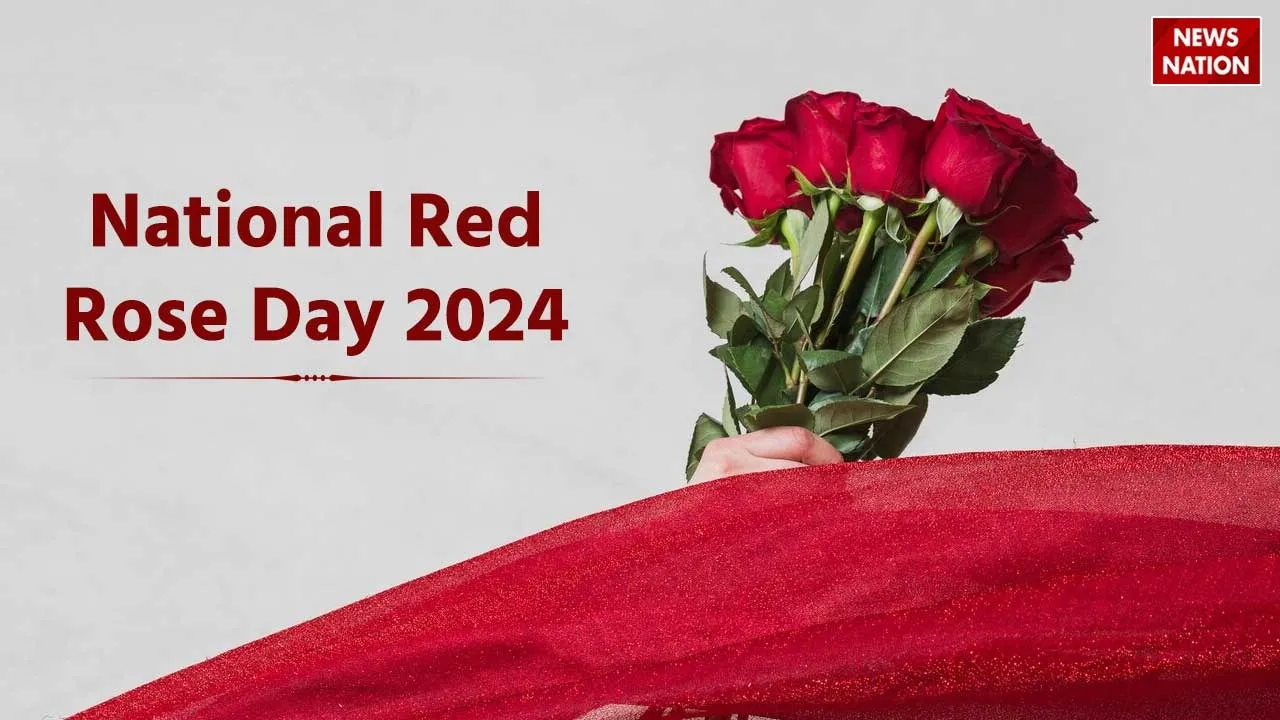 National Red Rose Day 2024