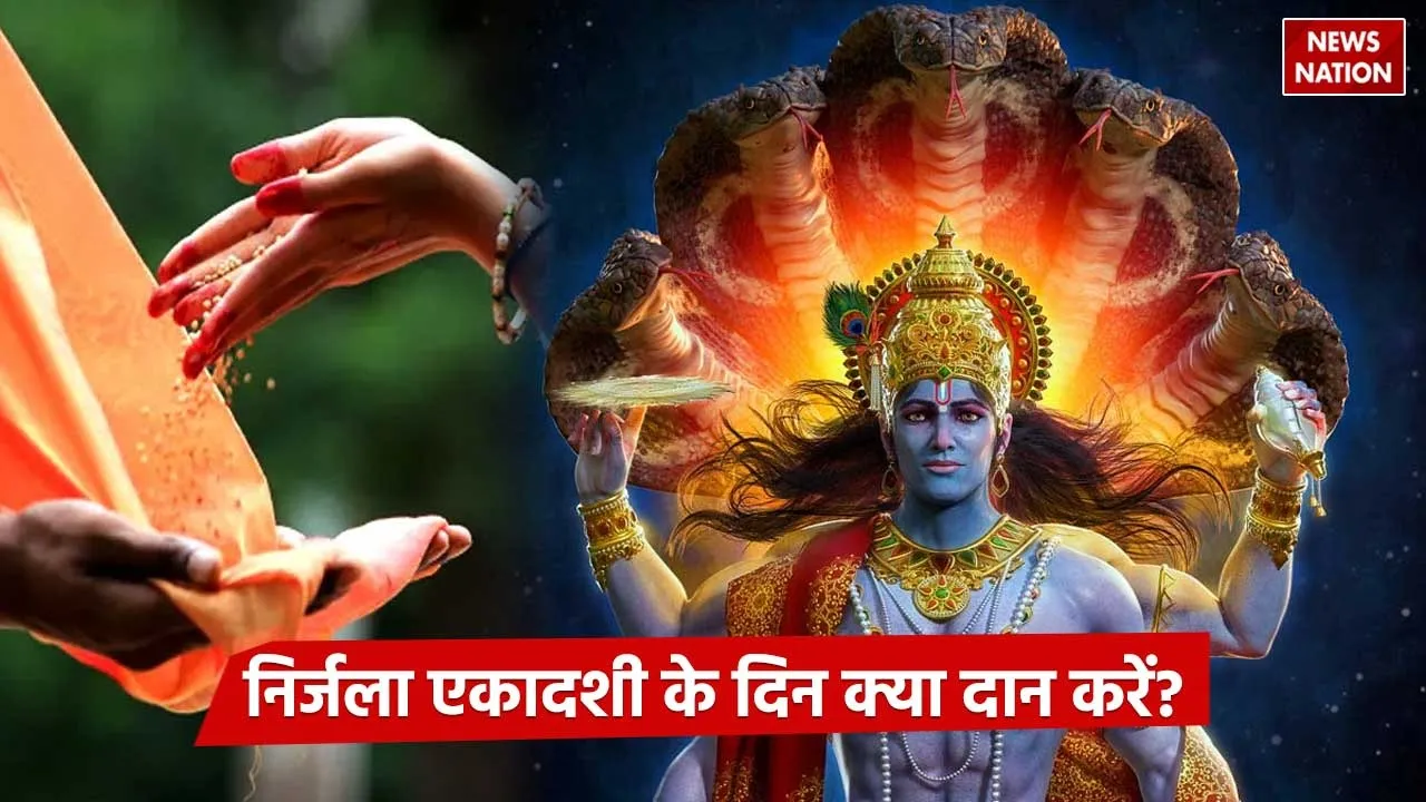 Nirjala Ekadashi daan