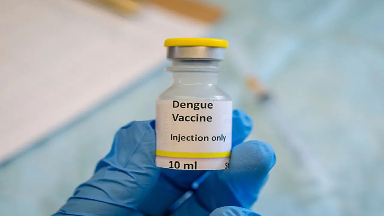 dengue vaccine