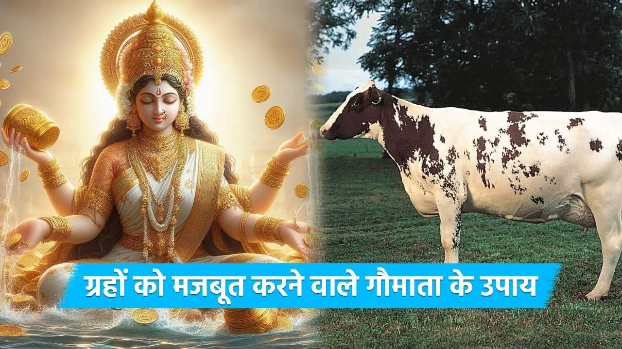 strengthen your planets with these cow remedies