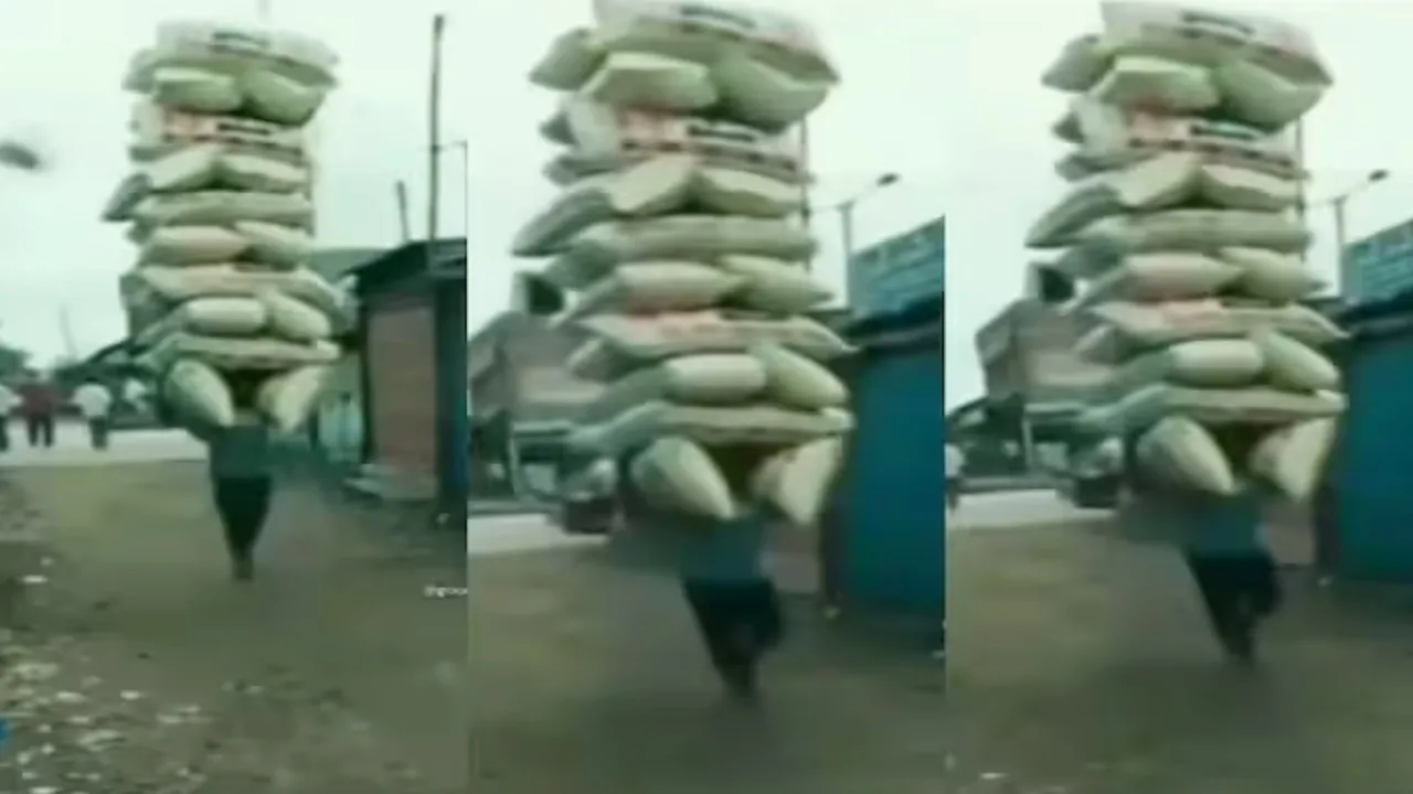 Majdoor Viral Video