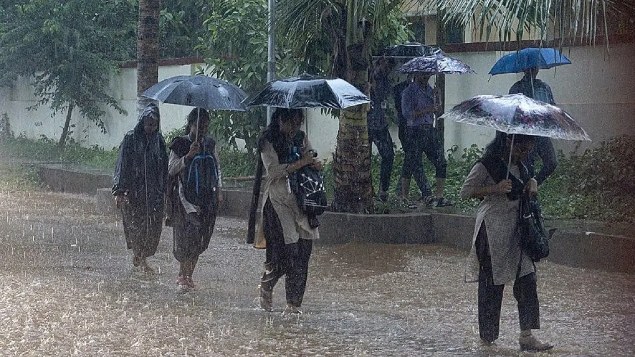 Monsoon 2024
