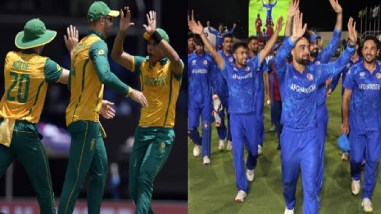 SA vs AFG Semifinal