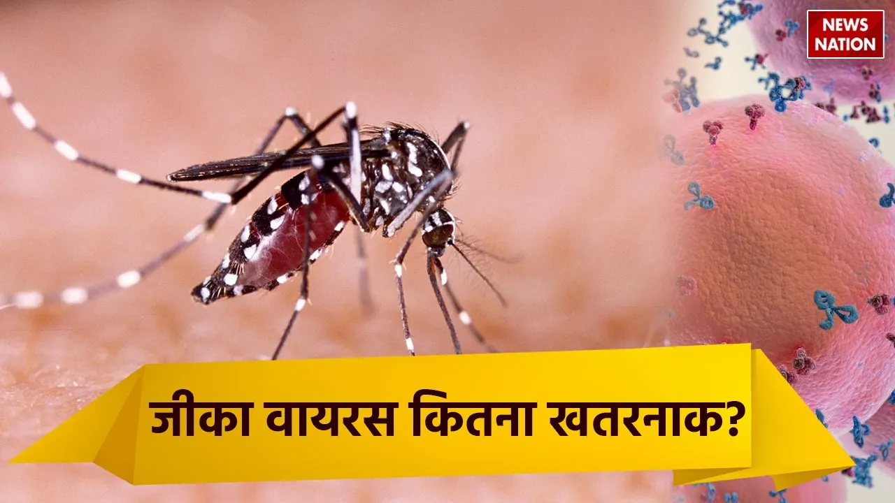 Zika Virus  1