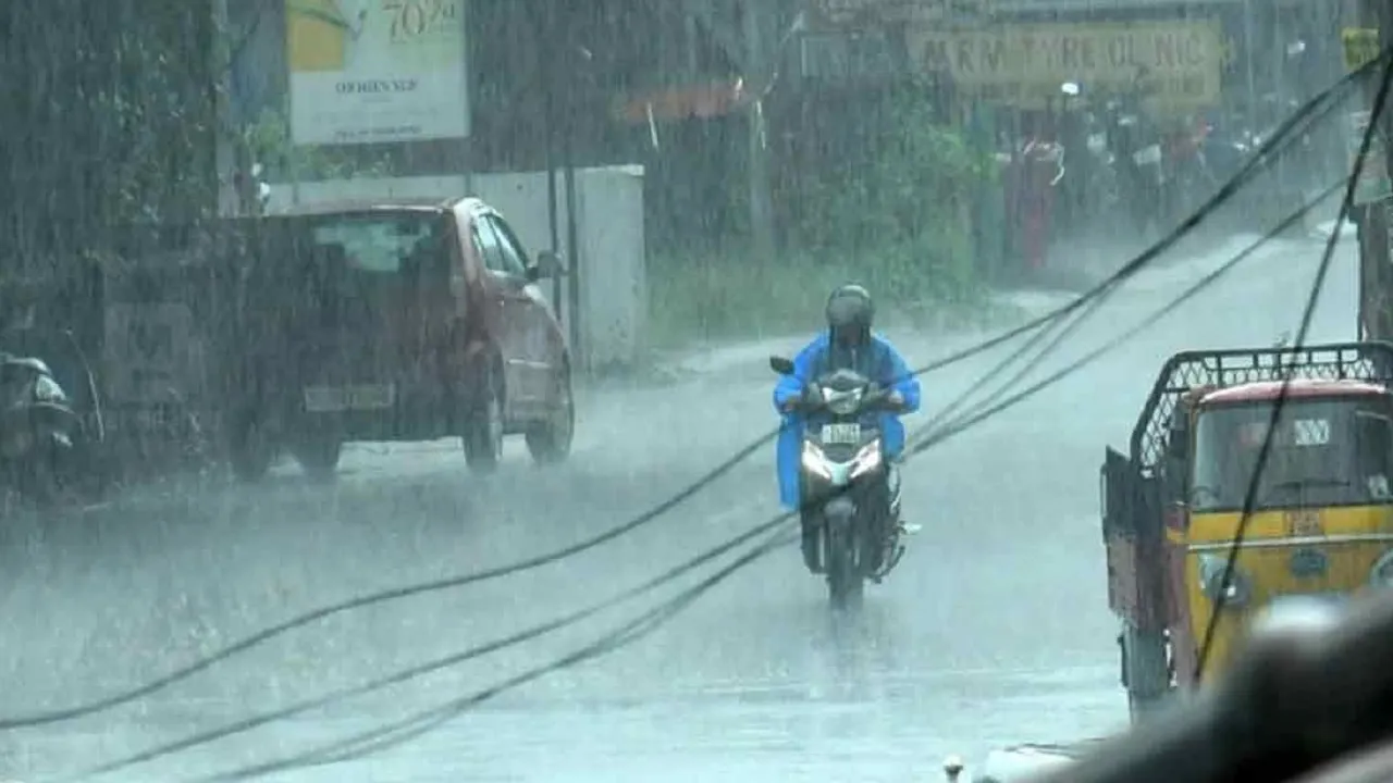 Heavy Rain Alert