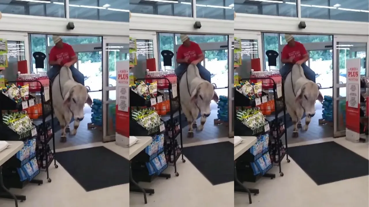 viral video