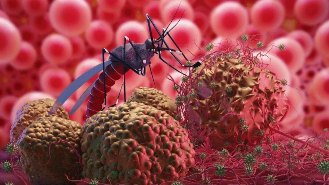 zika virus