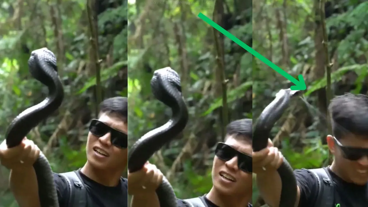 viral video