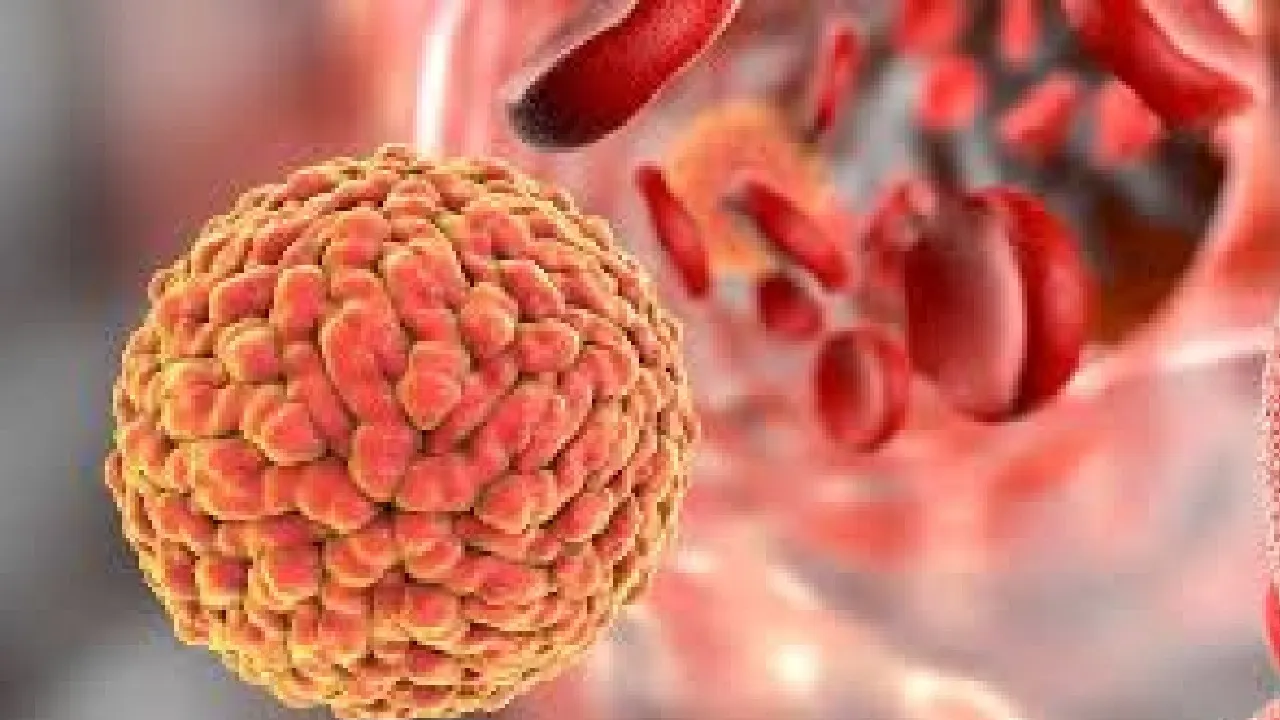 zika virus