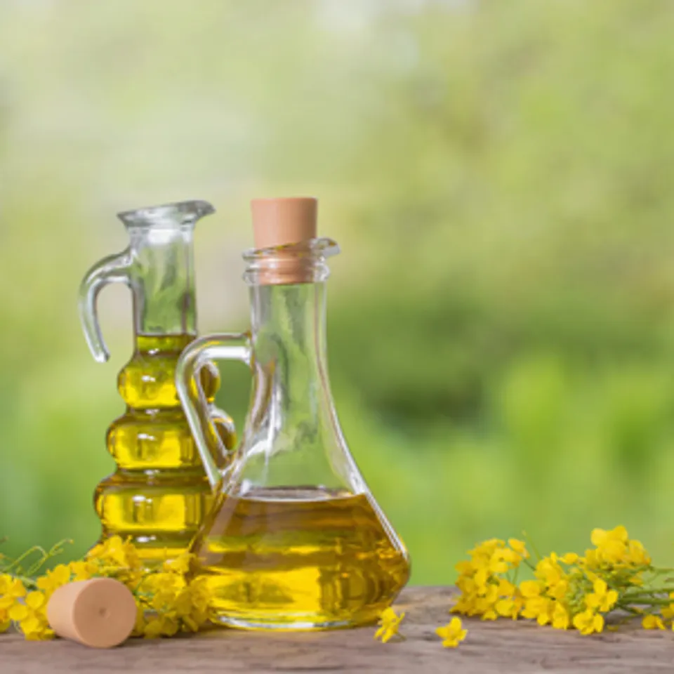 hindi-i-replacing-butter-with-high-quality-plant-oil-healthy--20240711152705-20240711165712