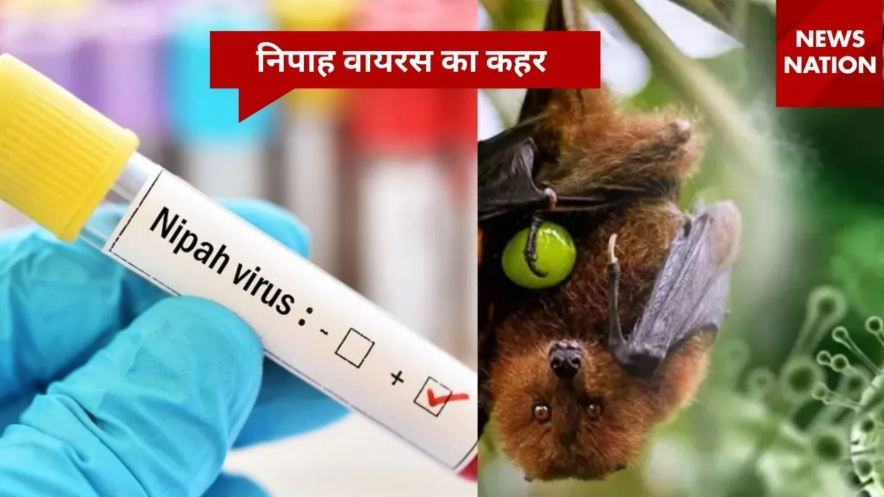 Nipah virus