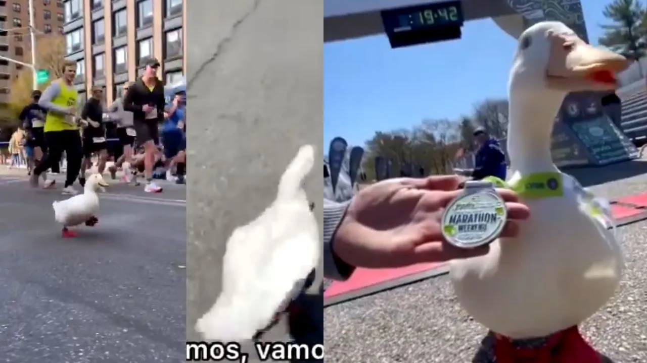 viral video