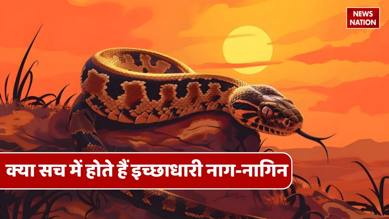 wish fulfilling snake serpent