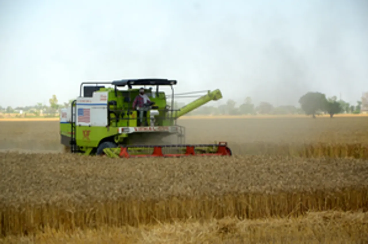 Amritsar: Farmers use a combine harvester to harvest wheat crop