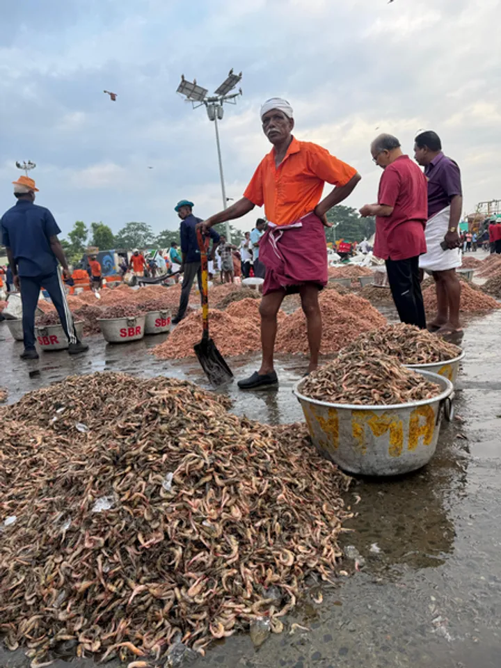 Kerala to support initiatives for Marine Stewardship Council certification in fisheries