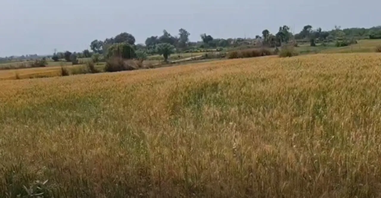 पुंछः एलओसी पर तनाव से हीरानगर सेक्टर में दहशत, किसानों को फसल बर्बादी का डर