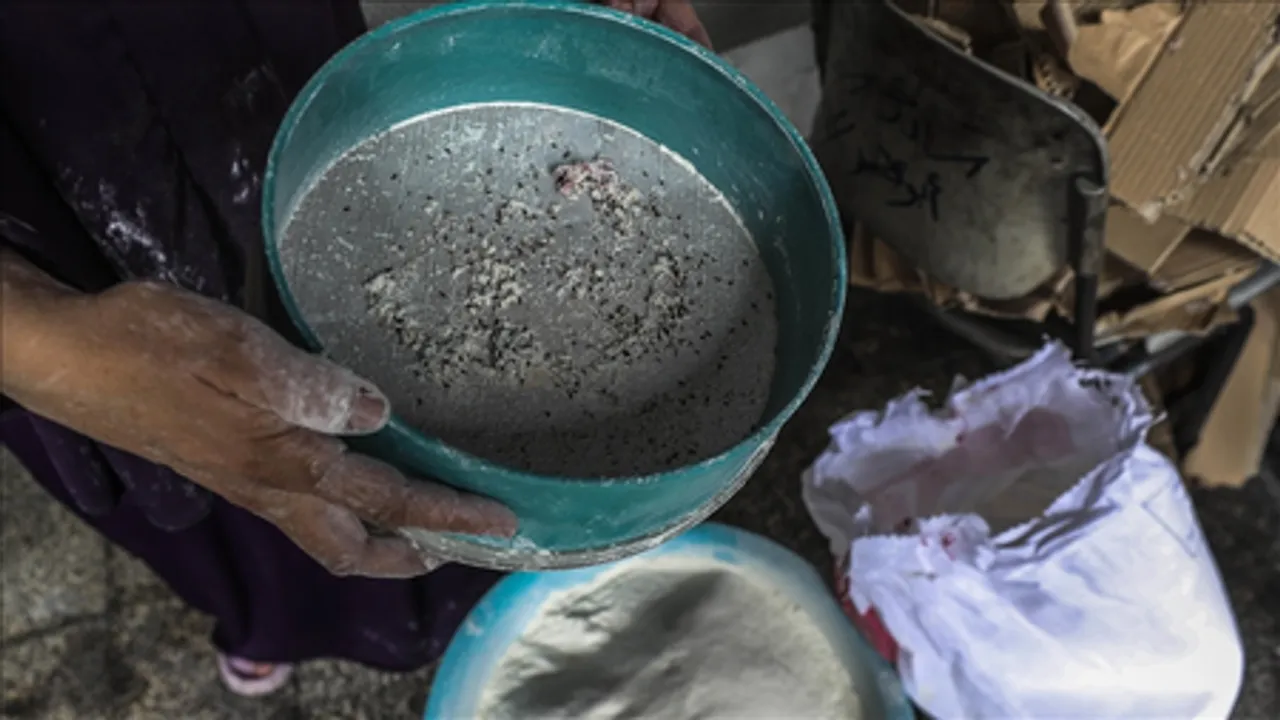 Flour supplies in Gaza depleted: UN agency