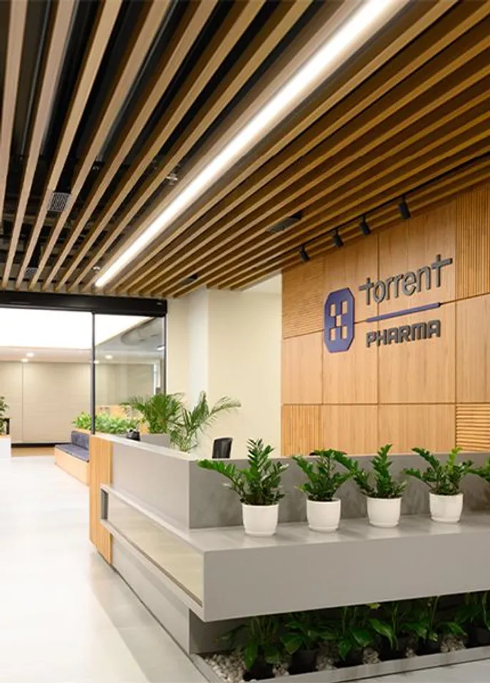 Torrent Pharma Q4 net profit falls marginally to Rs 498 crore