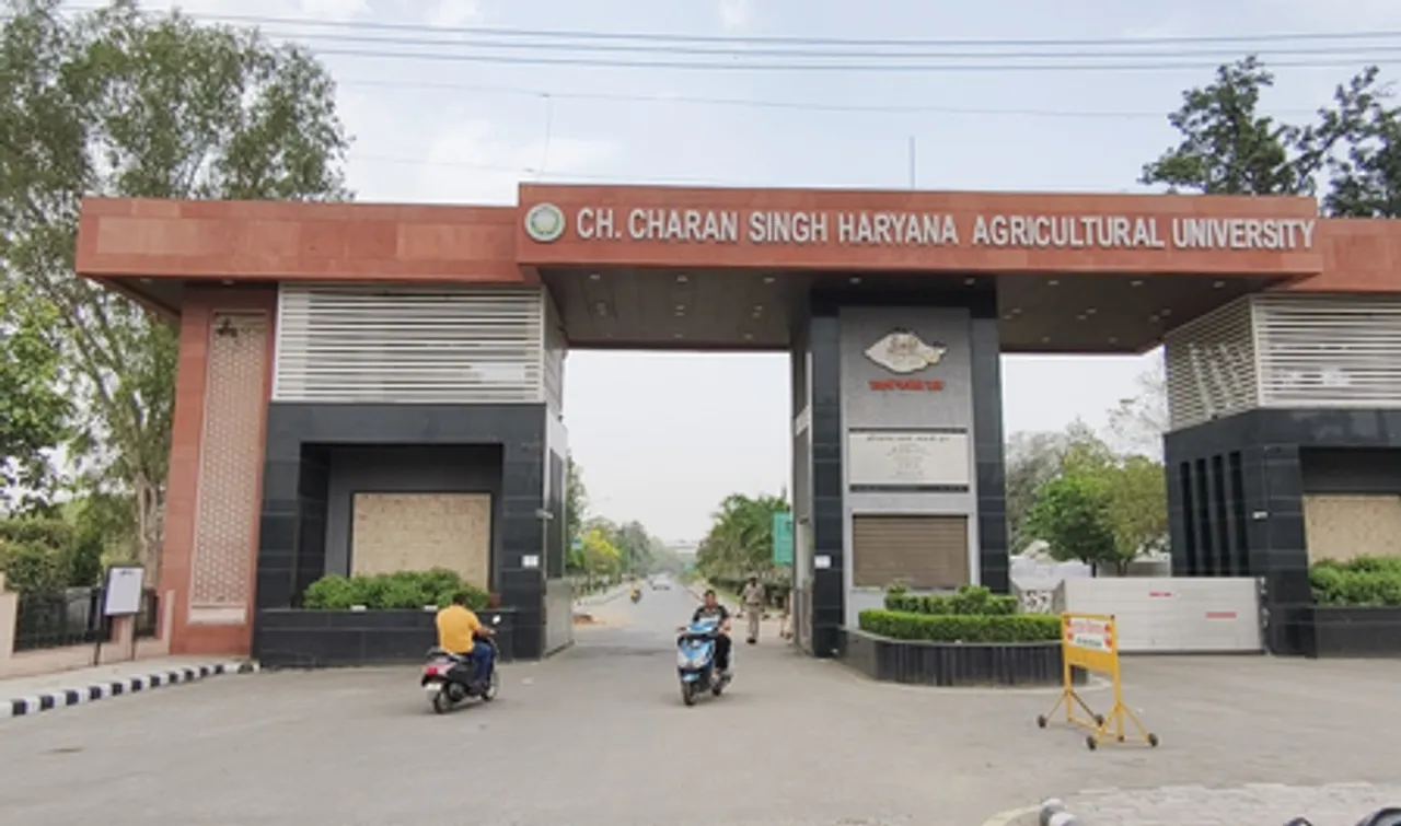 हरियाणा: किसानों को मौसम को ध्यान में रखकर फसल की बिजाई करने की सलाह, समय से पहले पहुंच रहा मानसून