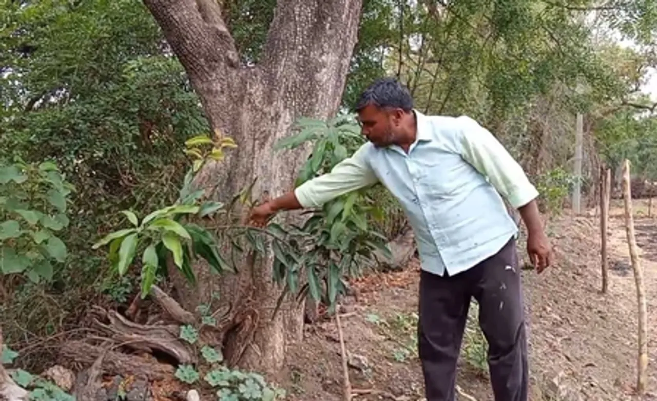 मध्य प्रदेश: राजगढ़ में 'किसान सम्मान निधि योजना' के मुस्लिम लाभार्थियों ने केंद्र सरकार को धन्यवाद कहा