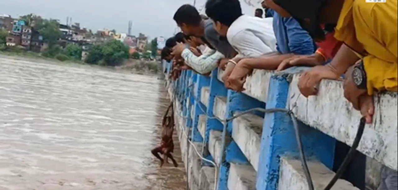 बिहार: फल्गु नदी अचानक बढ़ा जलस्‍तर, बाढ़ में फंसे 12 लोगों को बचाया