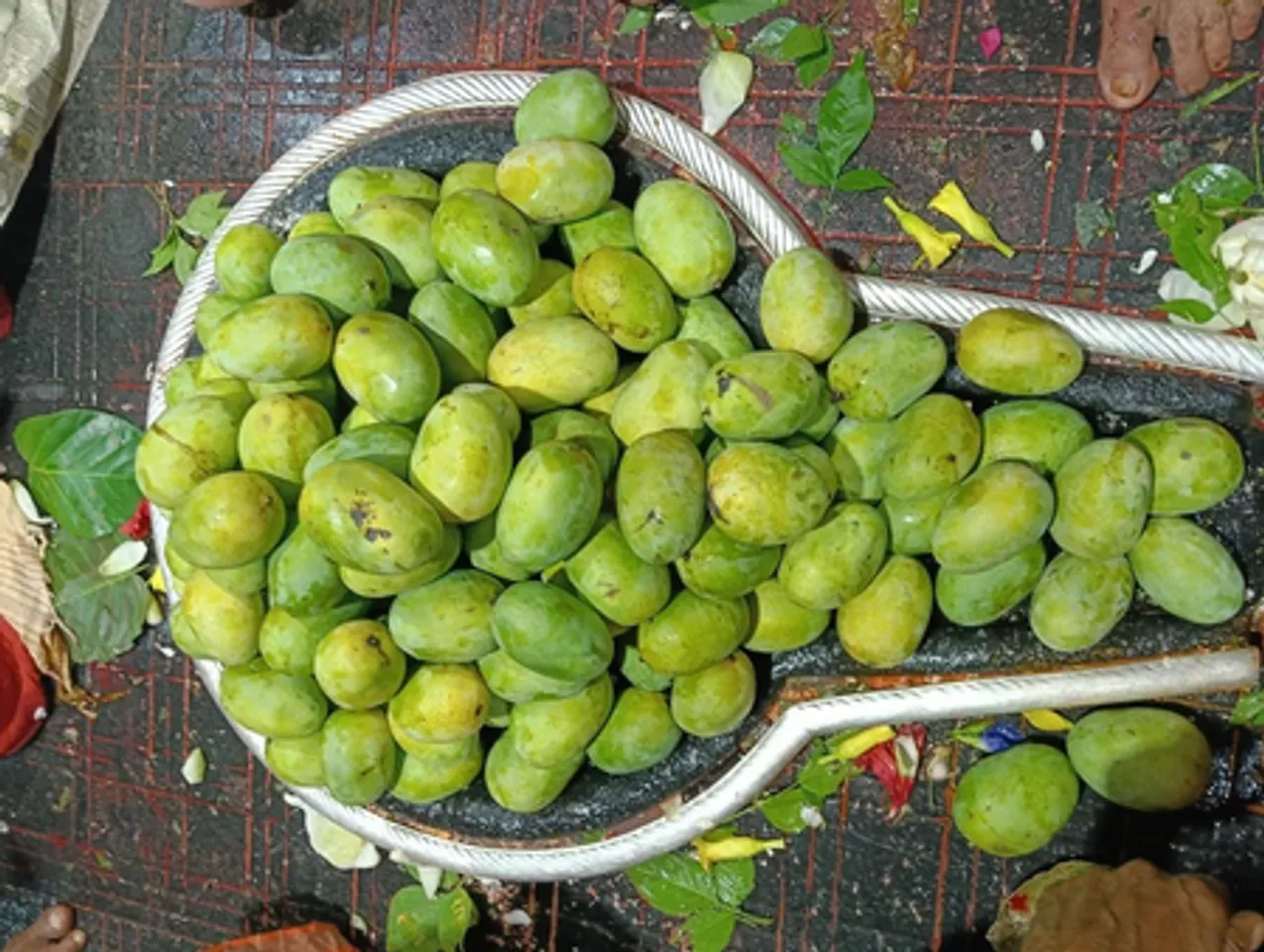 shivlinga par chadha prasad