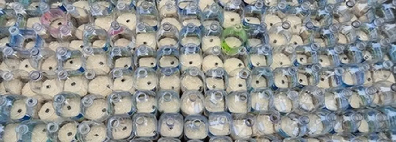 South Korea: Six Americans nabbed for trying to send plastic bottles with rice, dollar bills to North Korea