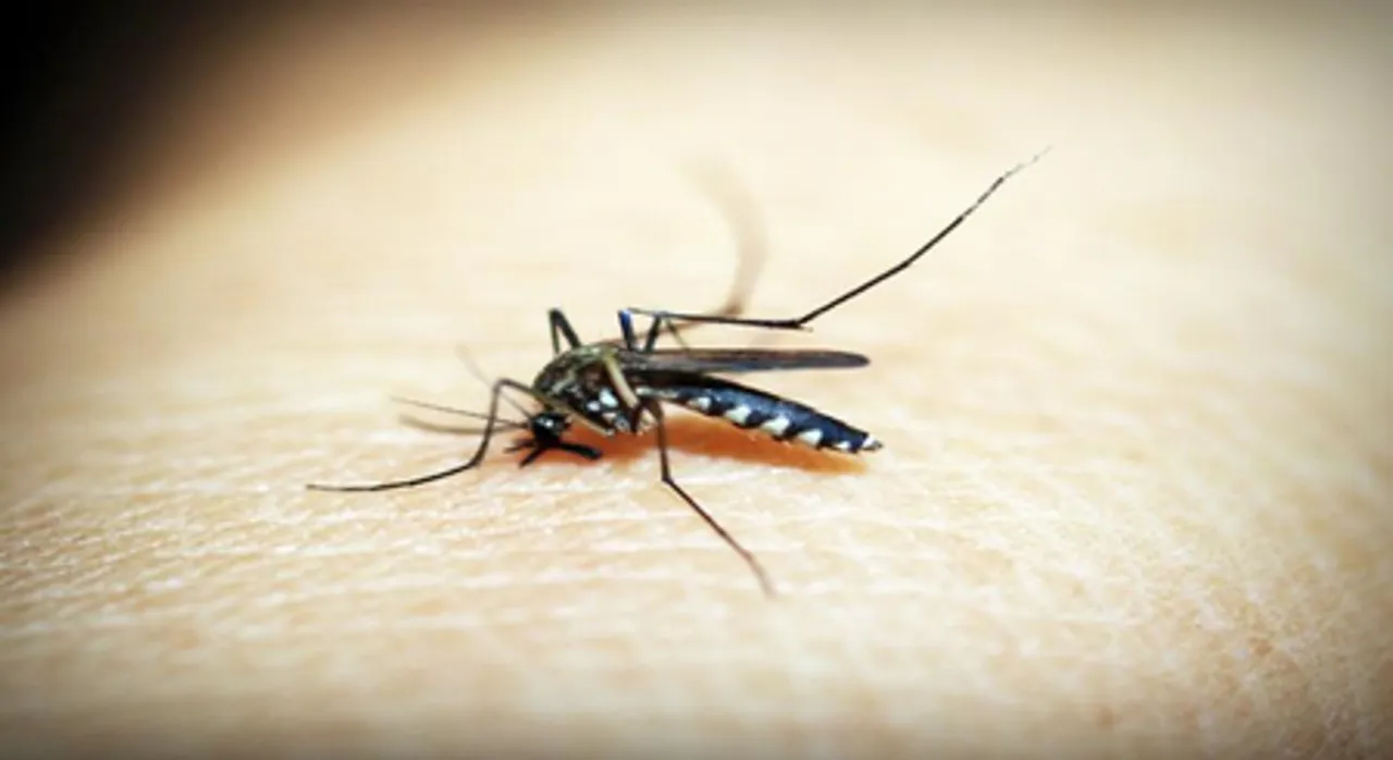 Ethiopia reports over 520,000 malaria cases in May: WHO