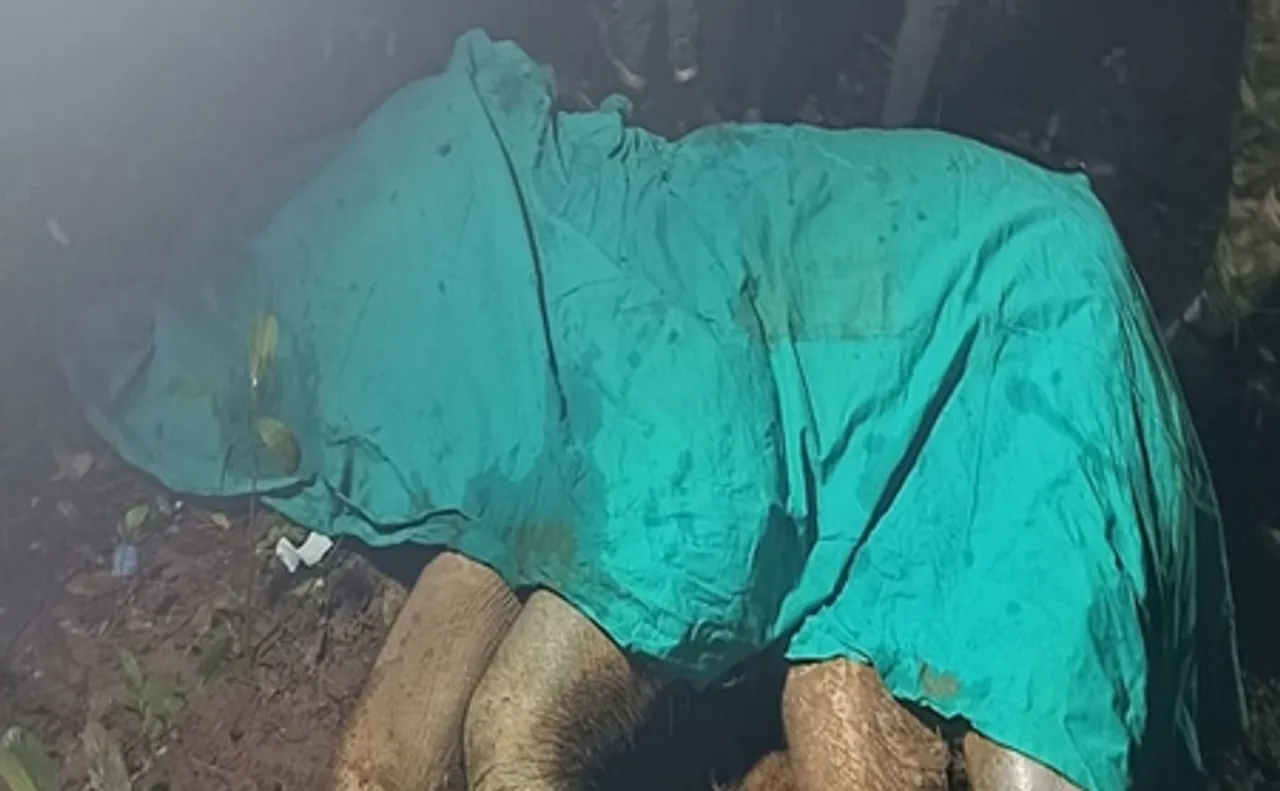 झारखंड के जंगल में नक्सलियों के बारूदी विस्फोट ने ली गजराज की जान