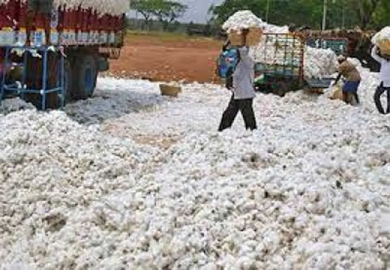 cotton
