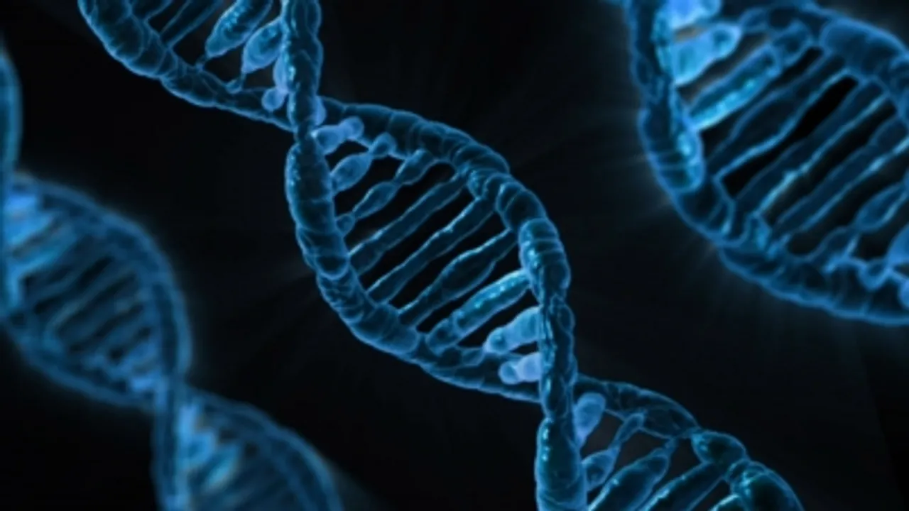 DNA.