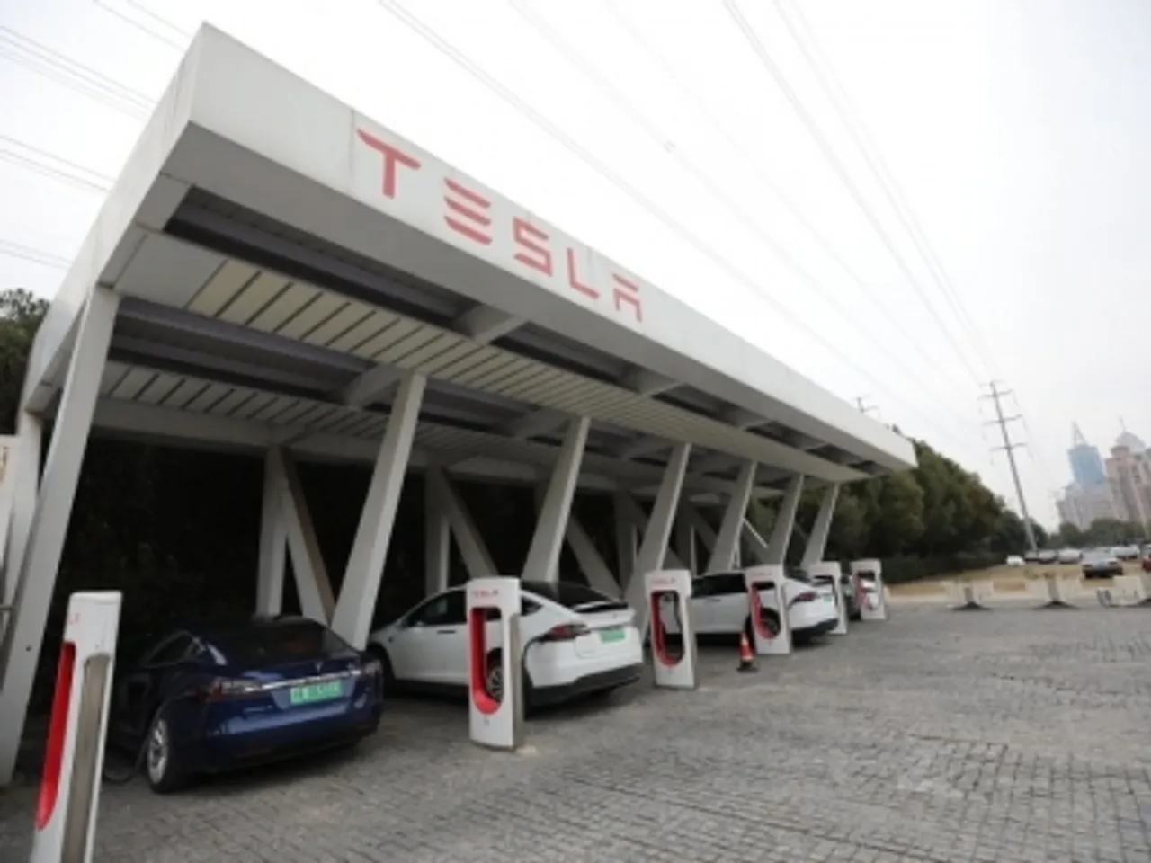 Tesla most wanted car brand in the world: Report
