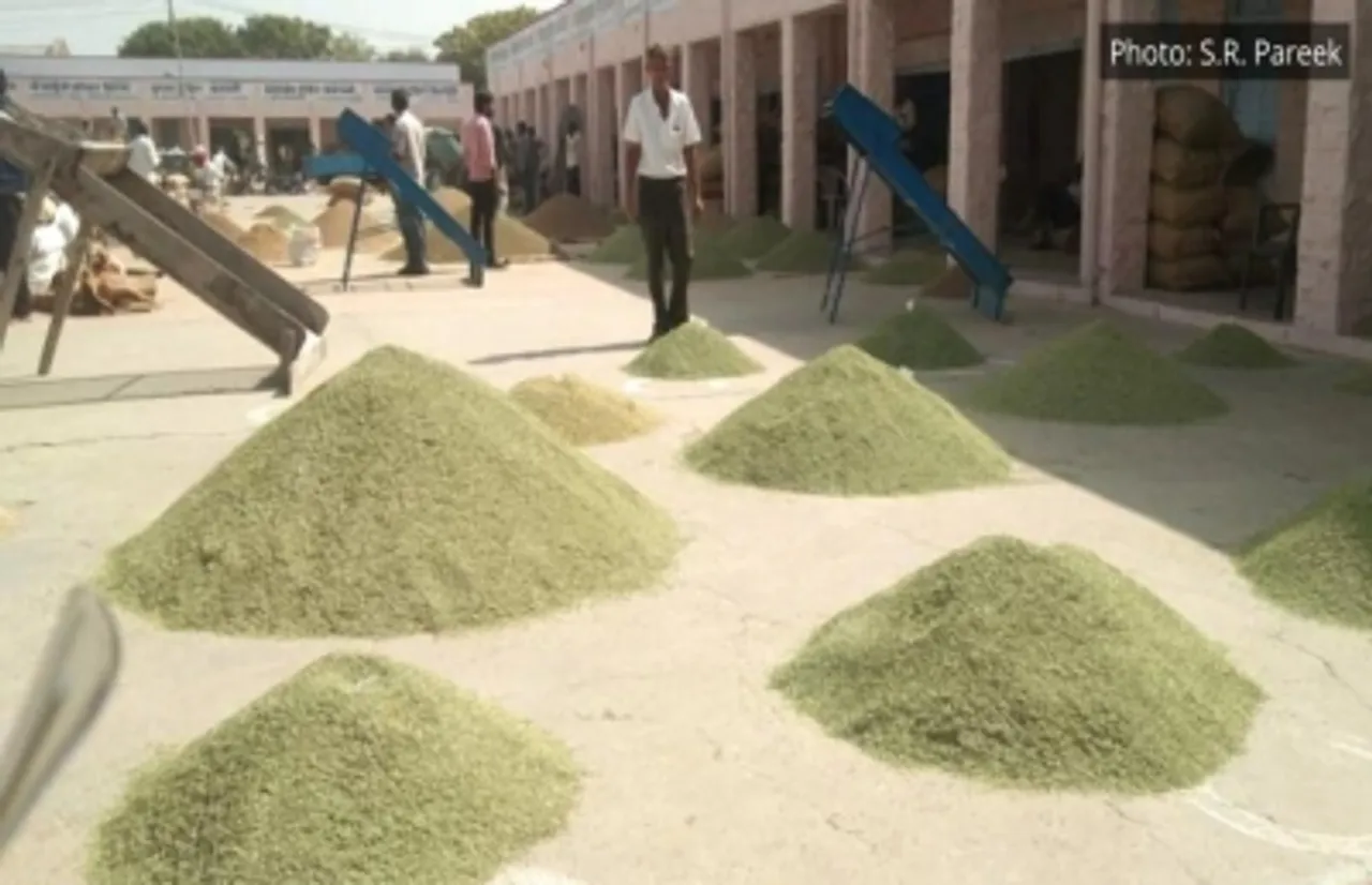 Food processing units in Rajasthan attract prospects, profits for farmers