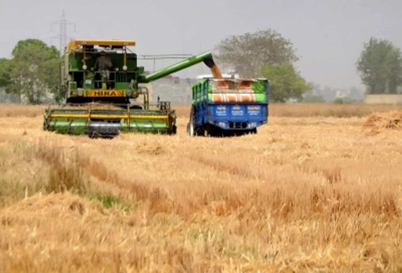 wheat,harvester,