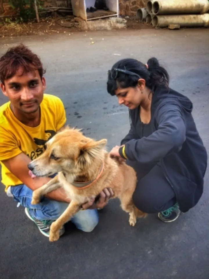 New Delhi, Anti-rabies mass vaccination drive, more than 1000 dogs vaccinated