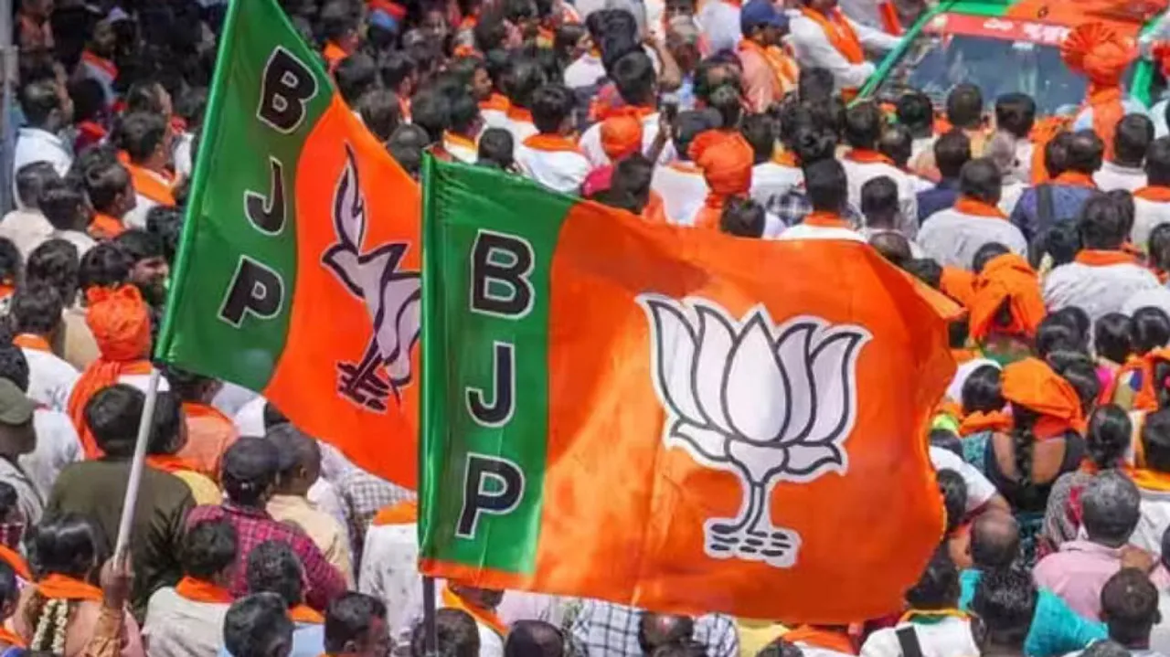 BJP Flag