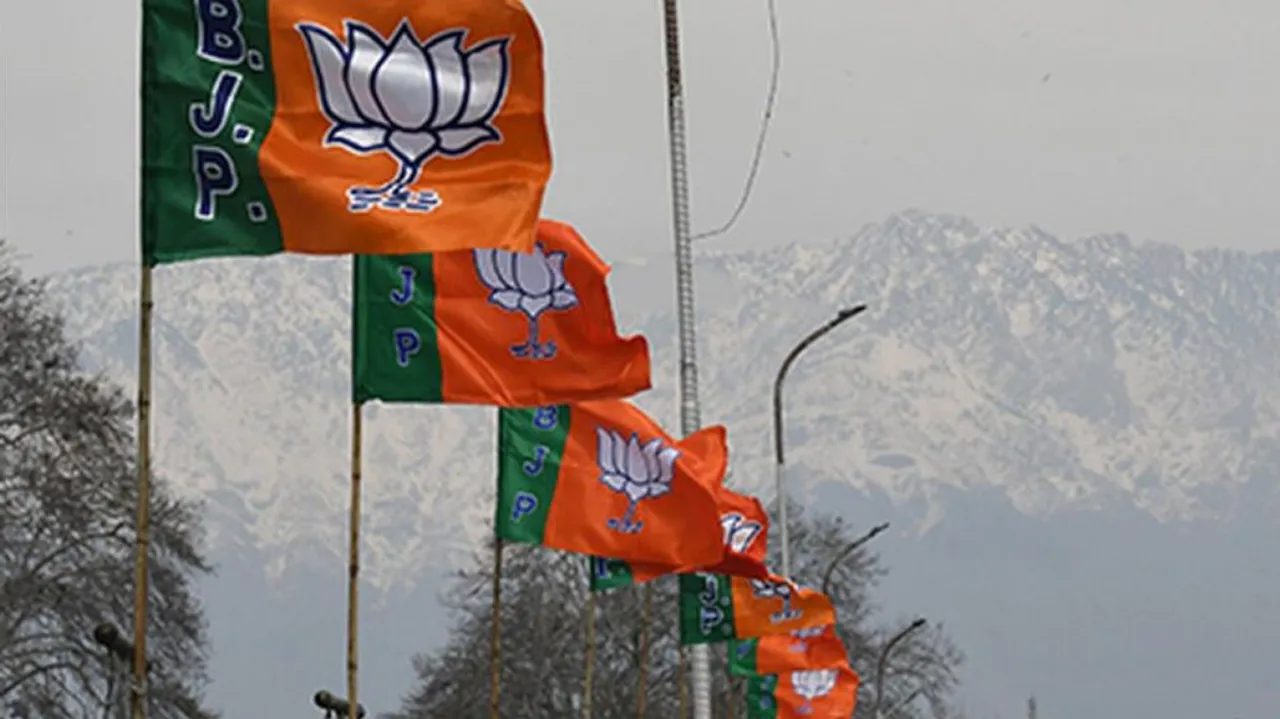 BJP Flag