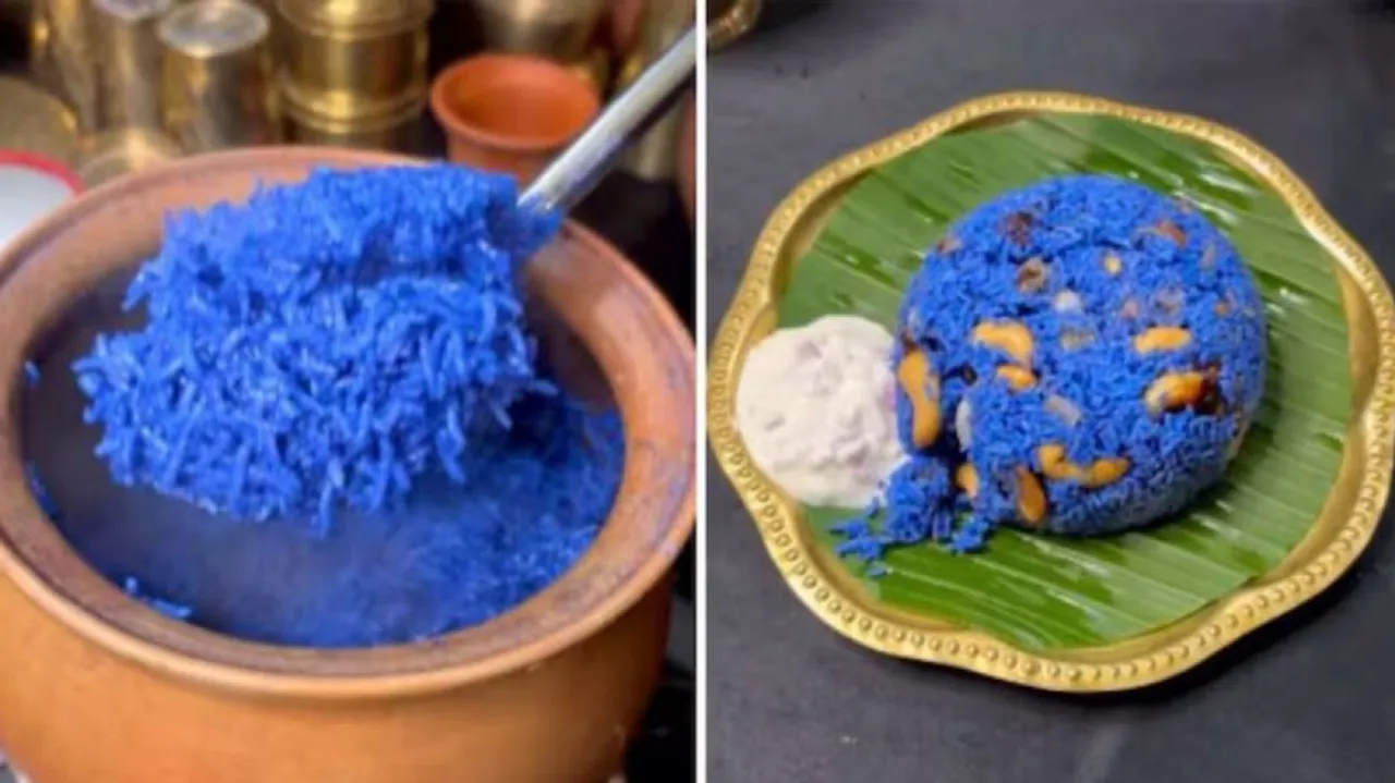 Blue Rice 