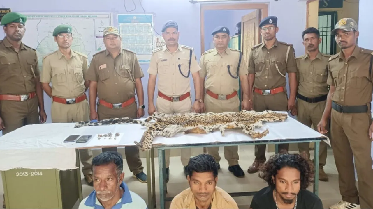 leopard-skin-recovered