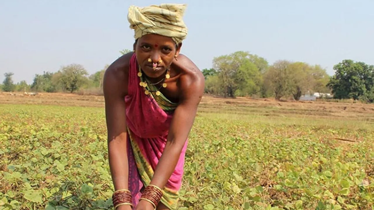 odisha pulses farmer