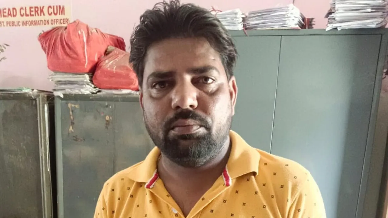  Junior Revenue Assistant