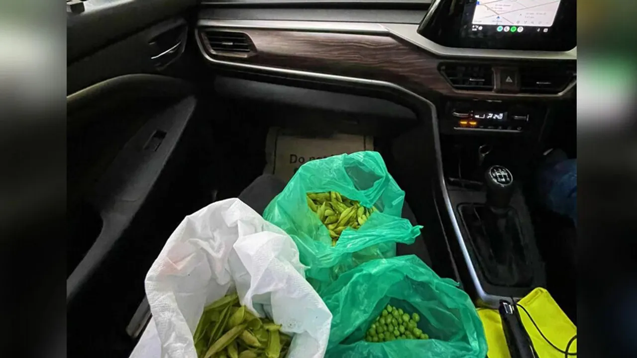 Woman Peels Veggies While Stuck In Traffic
