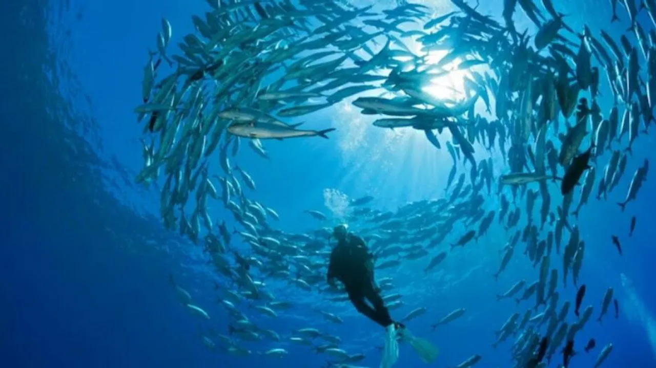 Seafloor Representative Image 