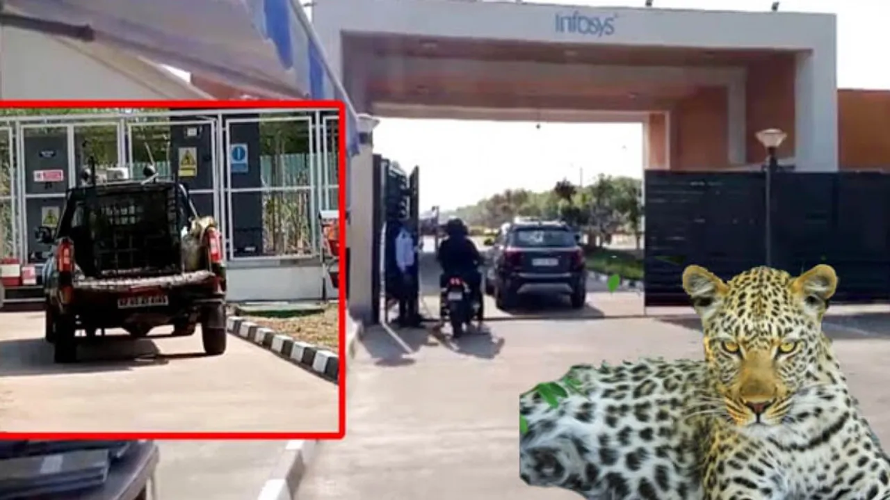 tcs-and-infosys-issued-advisory